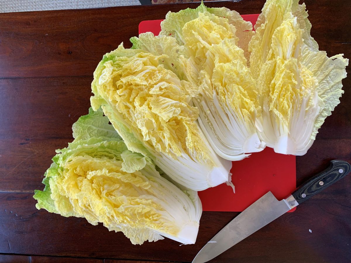How To Brine a Whole Napa Cabbage For Kimchi ⋆ Seasoned by Jin