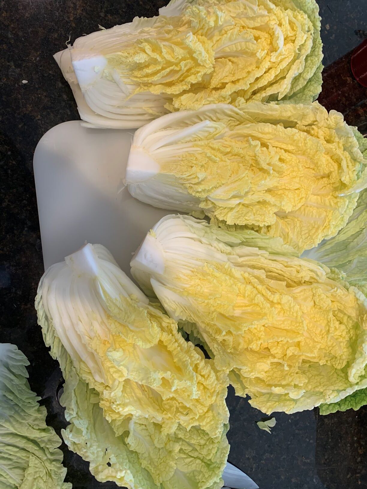 Napa Cabbage Kimchi (Korean Baechu-Kimchi) - Alphafoodie