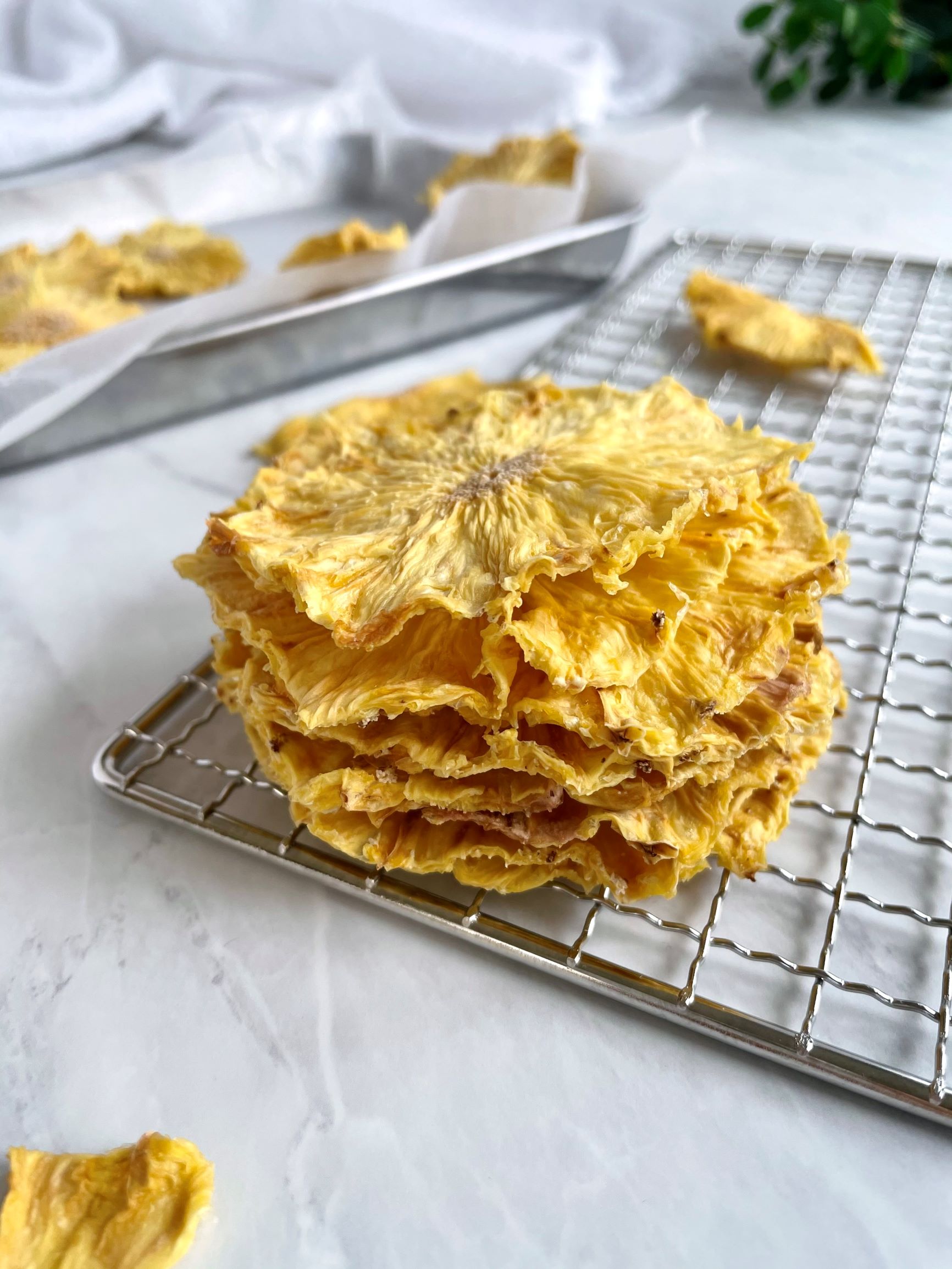 Dehydrated Pineapple Discs ⋆ Seasoned by Jin